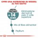 Royal Canin Hairball Care Gatto