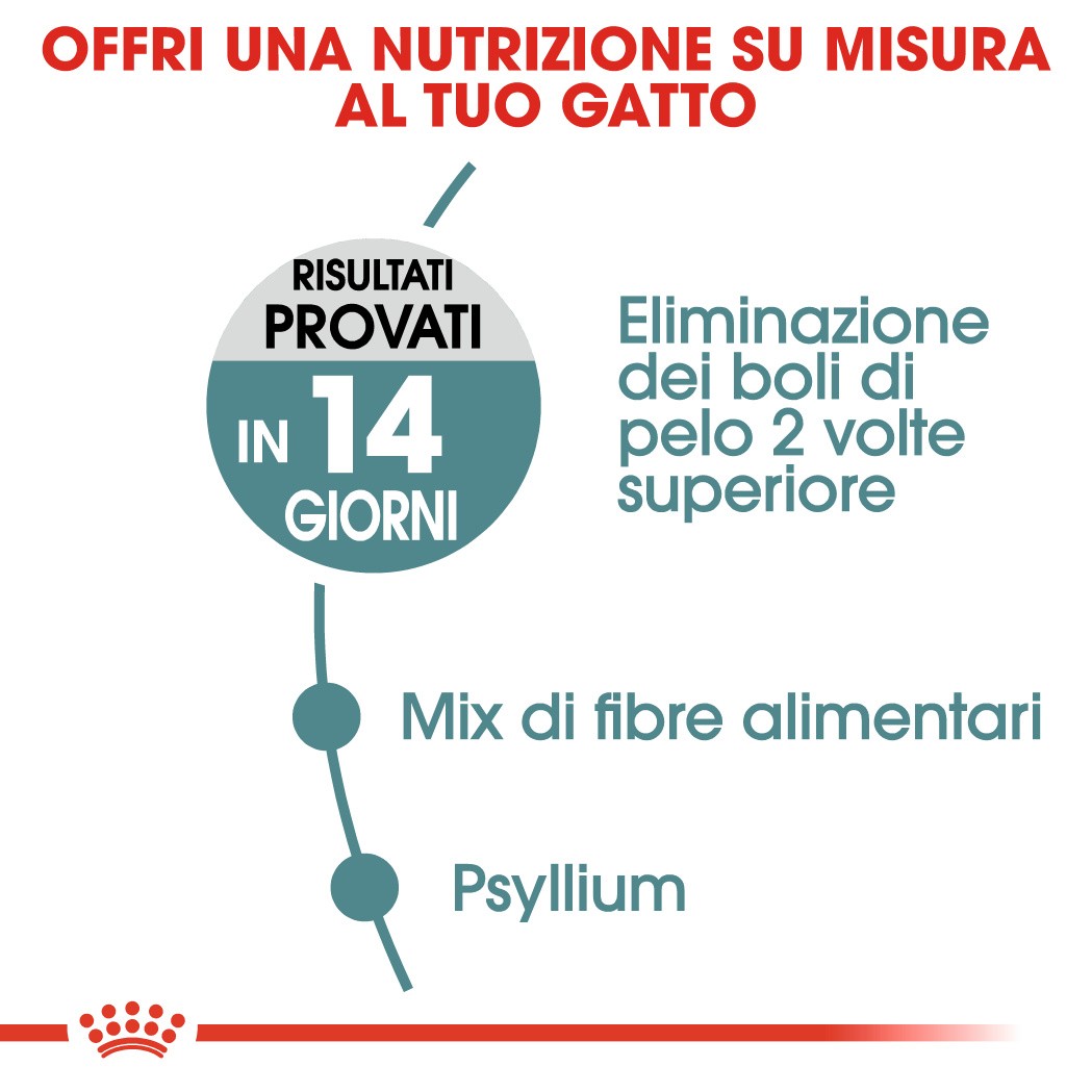 Royal Canin Hairball Care per gatto