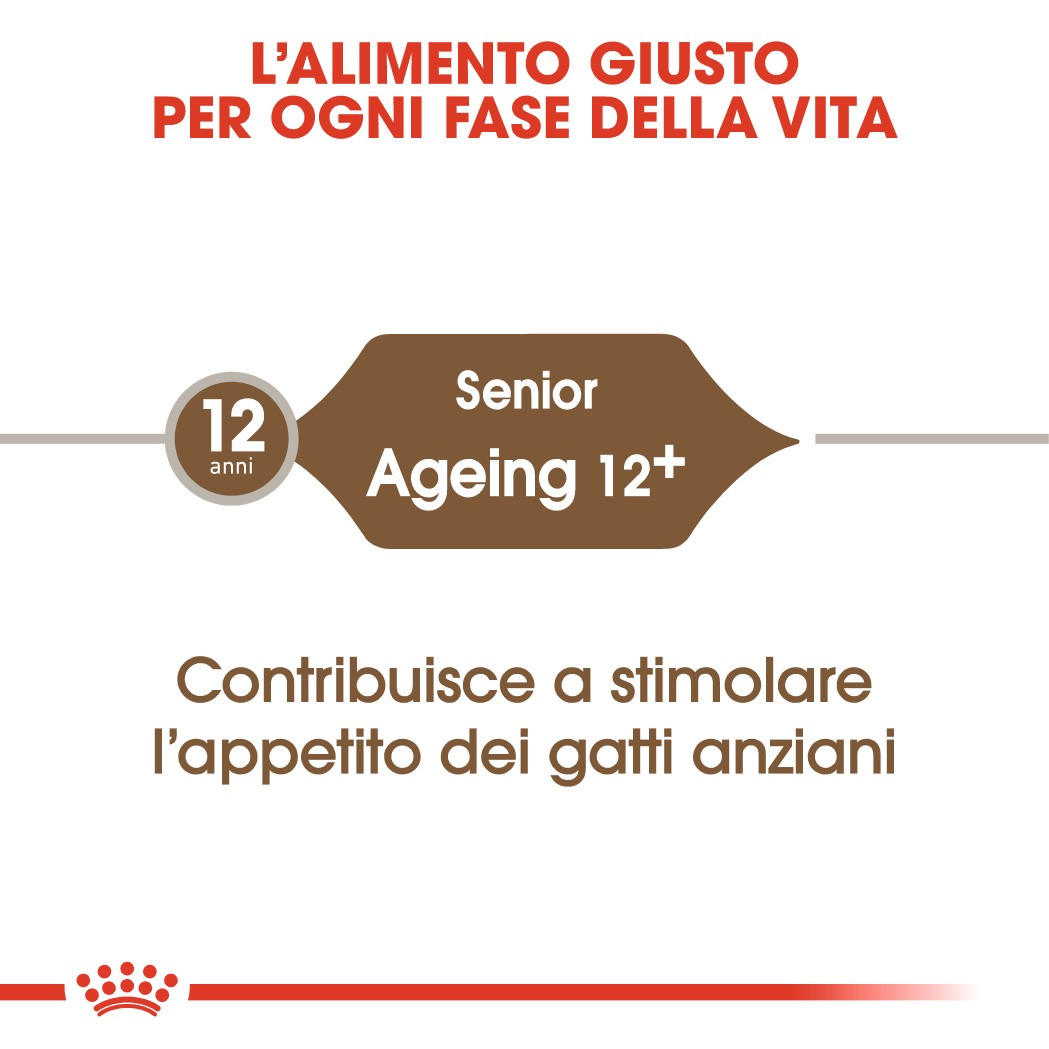 Royal Canin Ageing 12+ per gatto