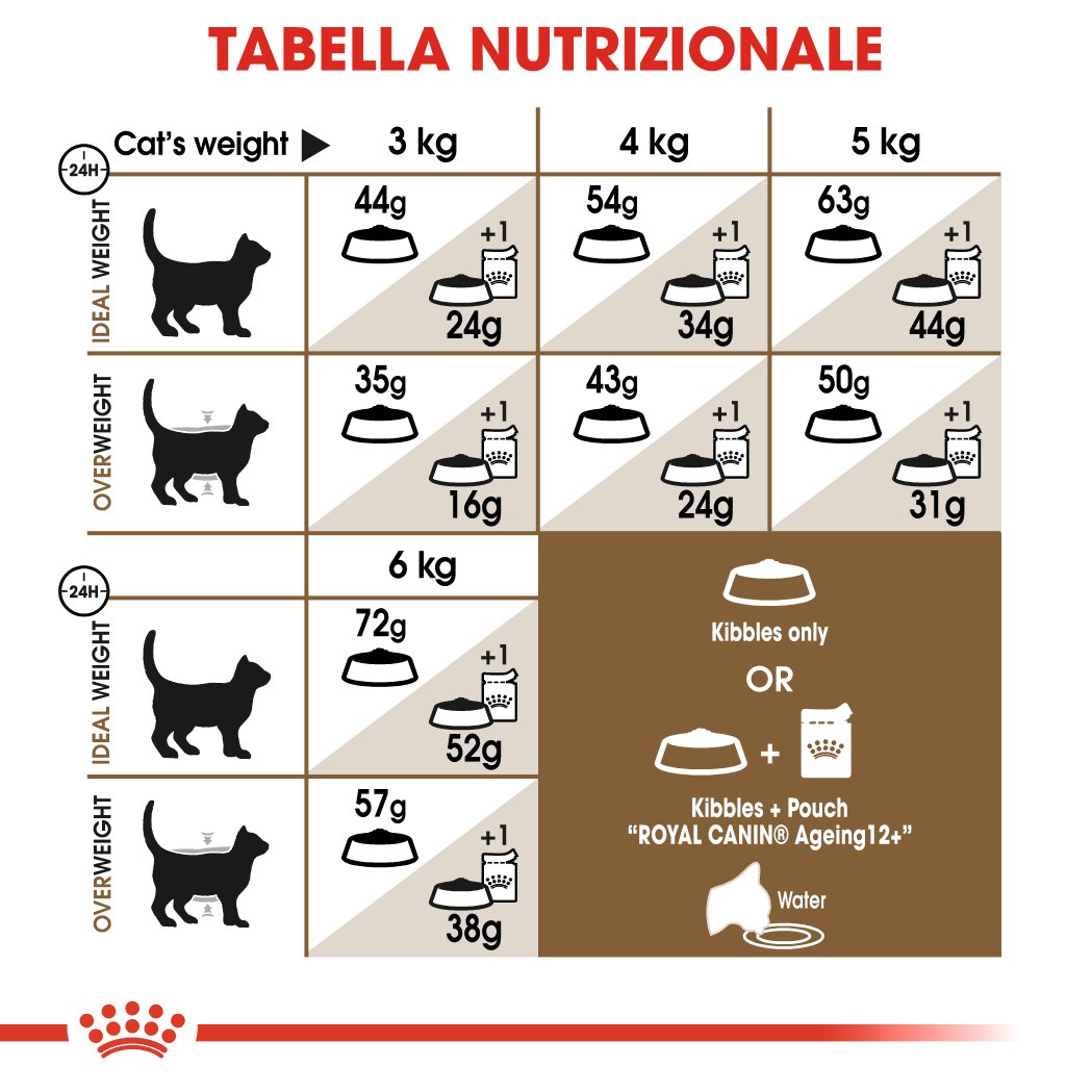 Royal Canin Ageing Sterilised 12+ Gatto