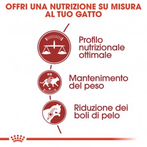 Royal Canin Fit 32 Gatto