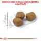 Royal Canin Indoor 7+ per gatto
