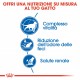 Royal Canin Indoor 7+ per gatto