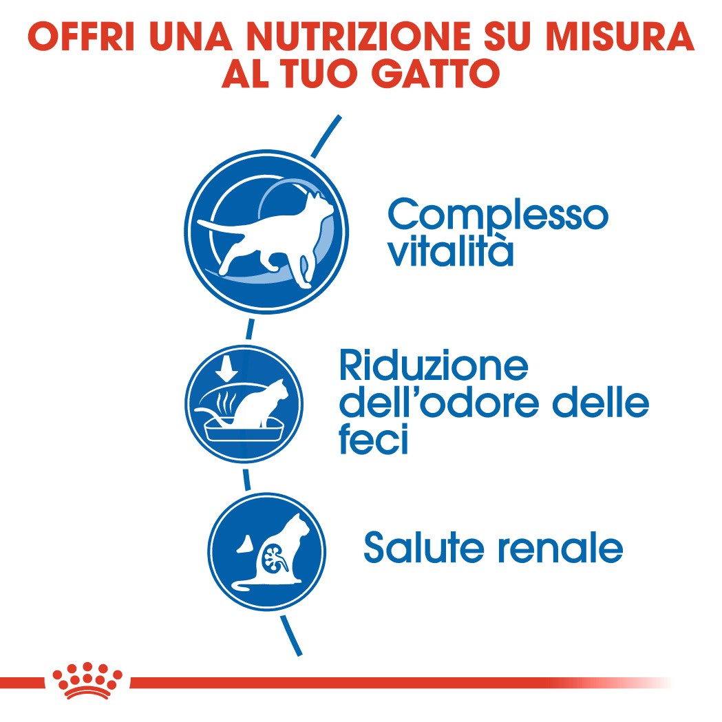 Royal Canin Indoor 7+ per gatto