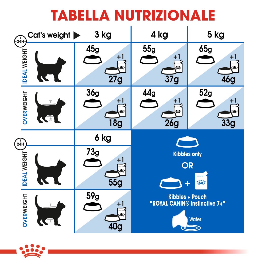 Royal Canin Indoor 7+ per gatto