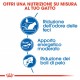 Royal Canin Indoor 27 Gatto
