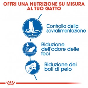 Royal Canin Indoor Appetite Control per gatto