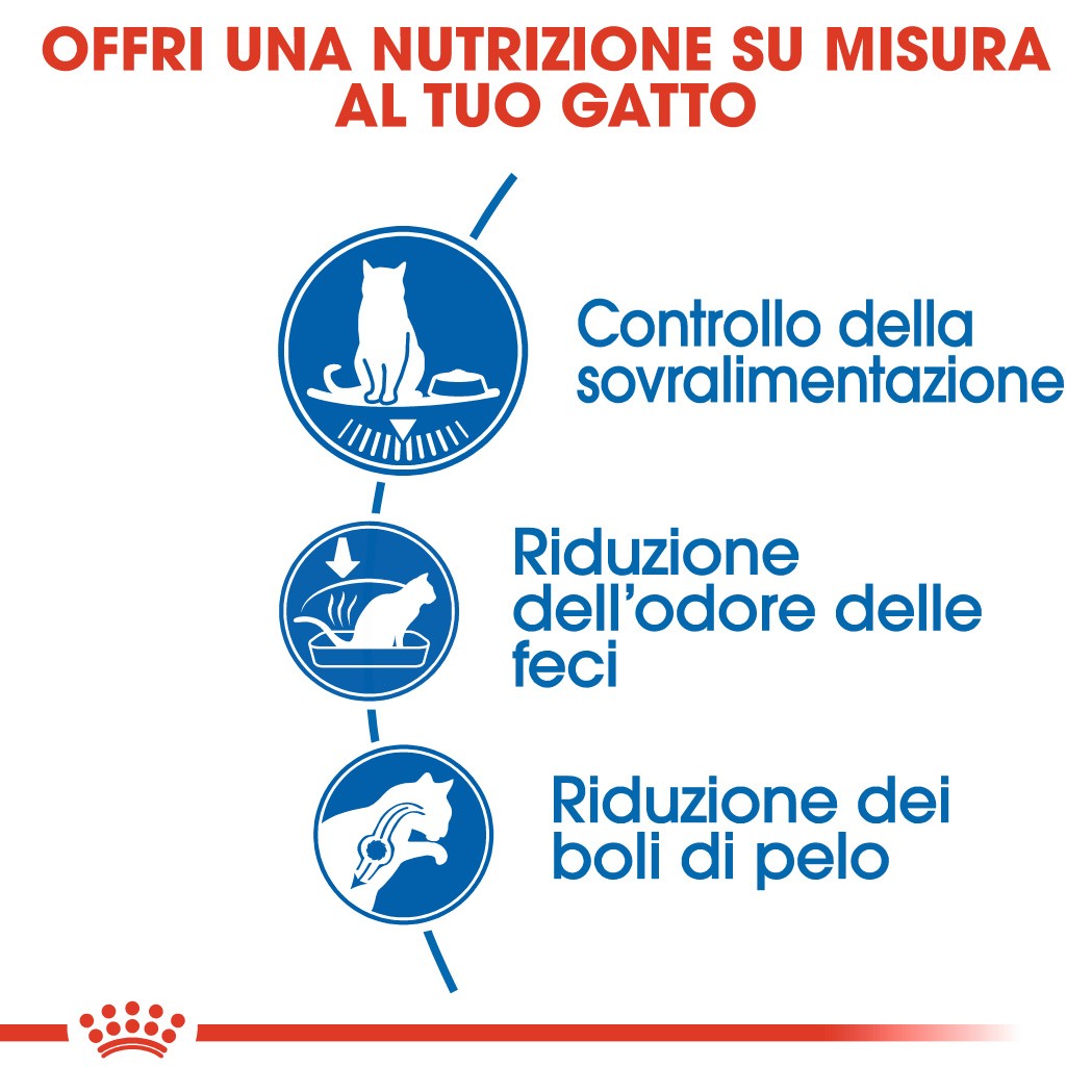 Royal Canin Indoor Appetite Control per gatto