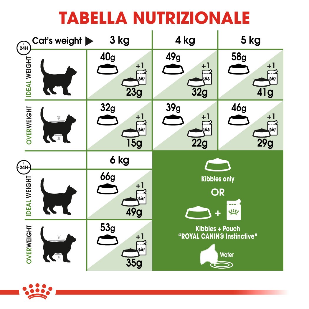 Royal Canin Outdoor Gatto