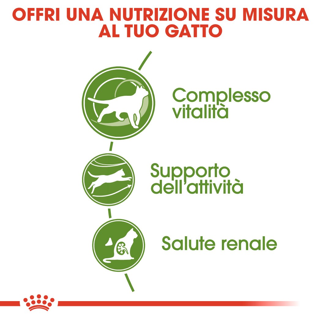 Royal Canin Outdoor 7+ Gatto