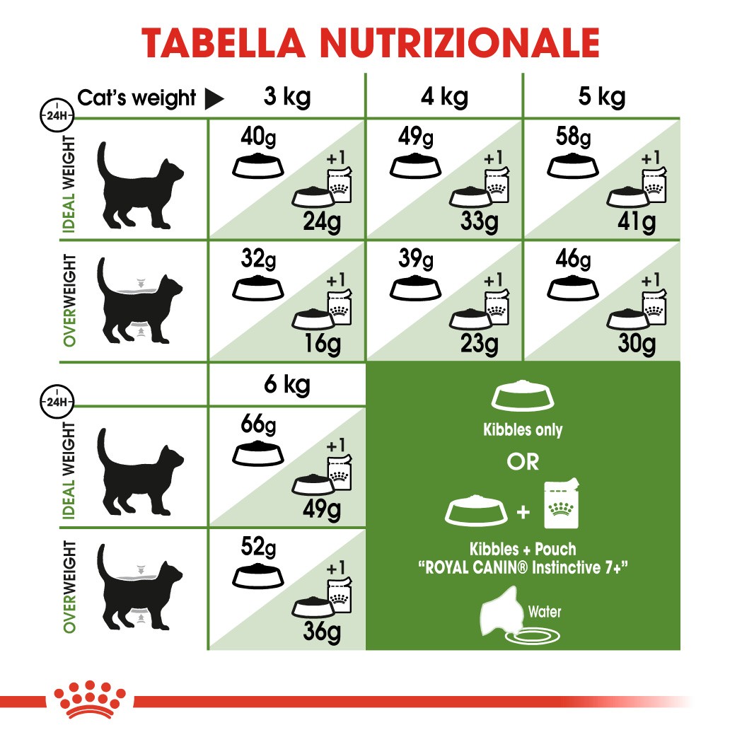 Royal Canin Outdoor 7+ Gatto