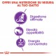 Royal Canin Sensible 33 Gatto