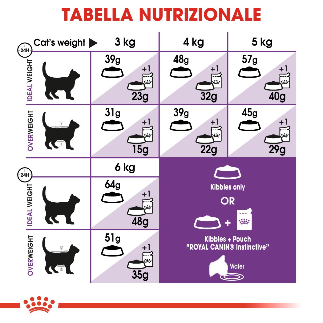 Royal Canin Regular Sensible 33 per gatto