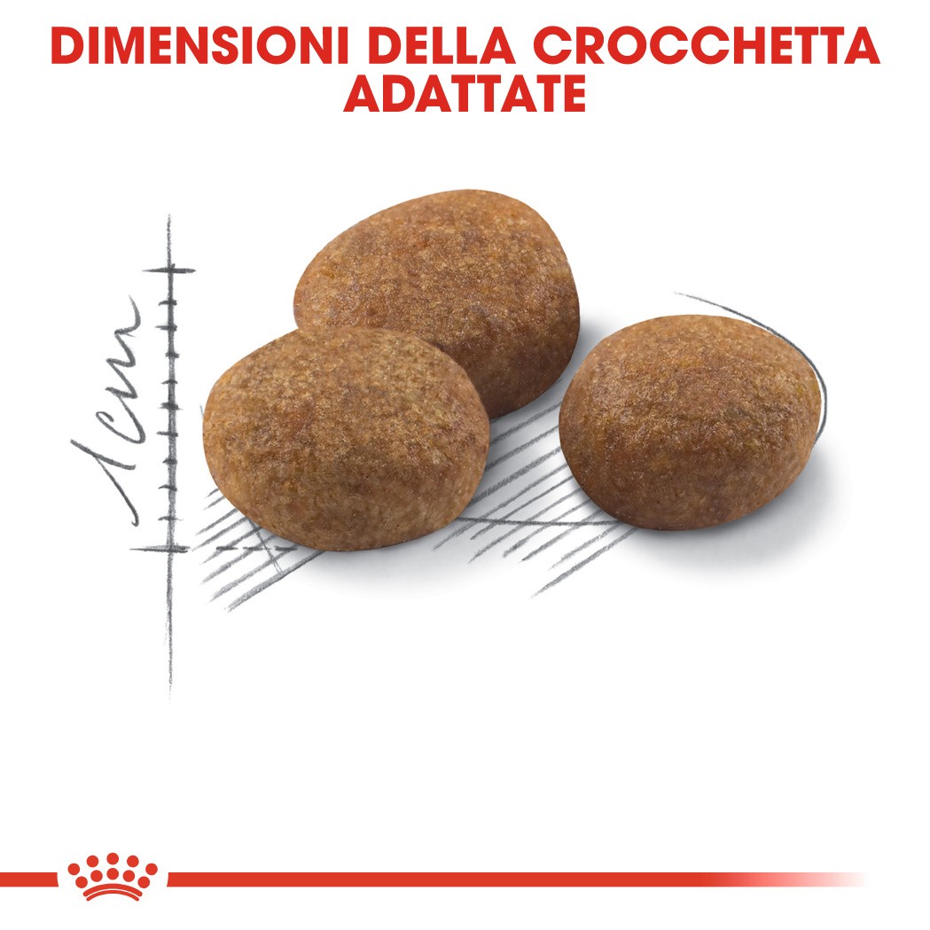 Royal Canin Regular Sterilised 7+ per gatto