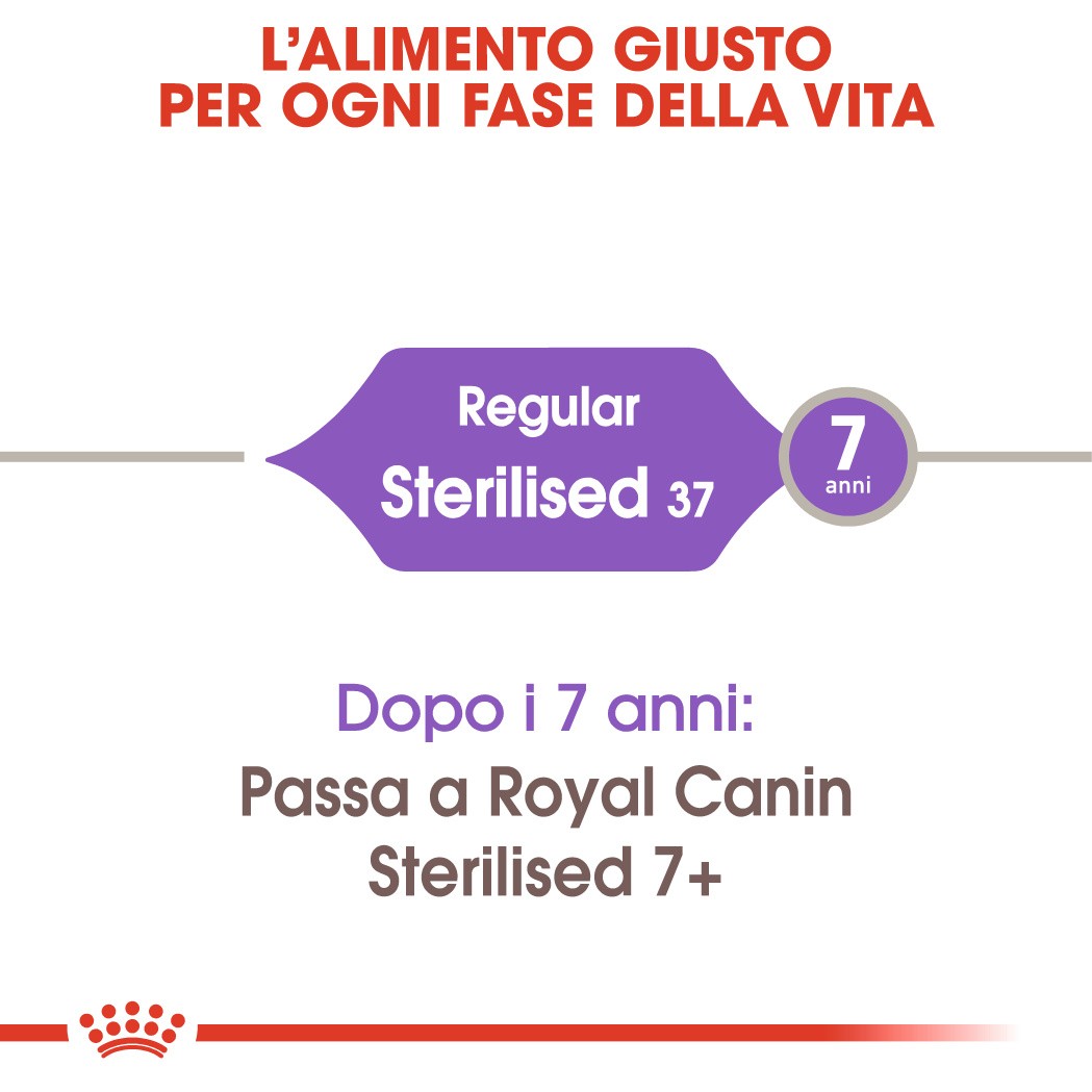 Royal Canin Regular Sterilised 37 per gatto