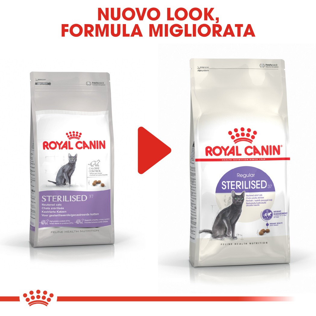 Royal Canin Regular Sterilised 37 per gatto