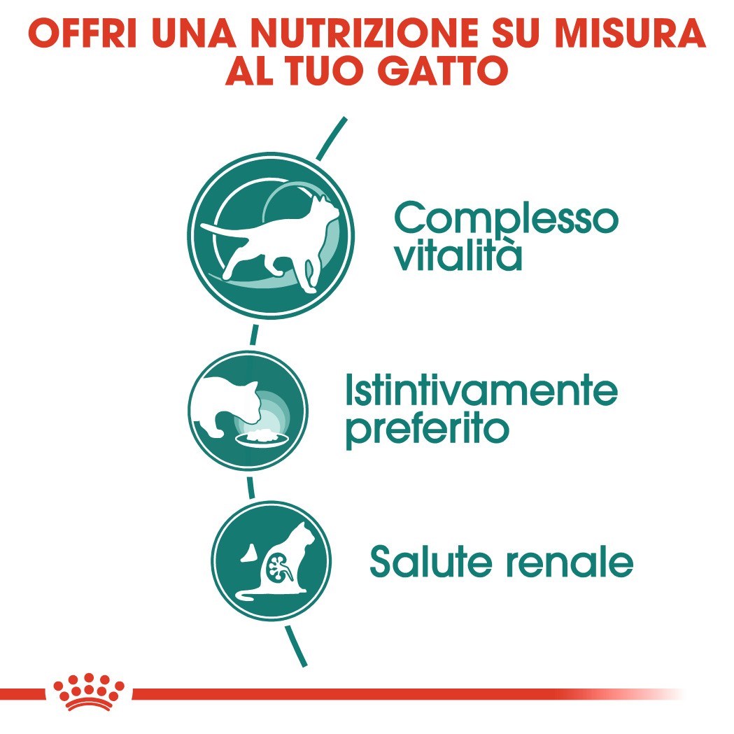 Royal Canin Instinctive 7+ cibo umido per gatto 12x