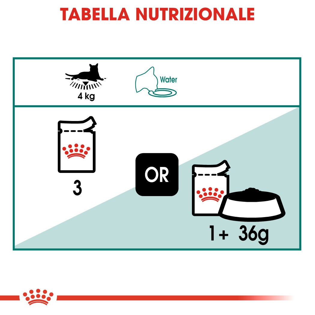 Royal Canin Instinctive 7+ cibo umido per gatto 12x