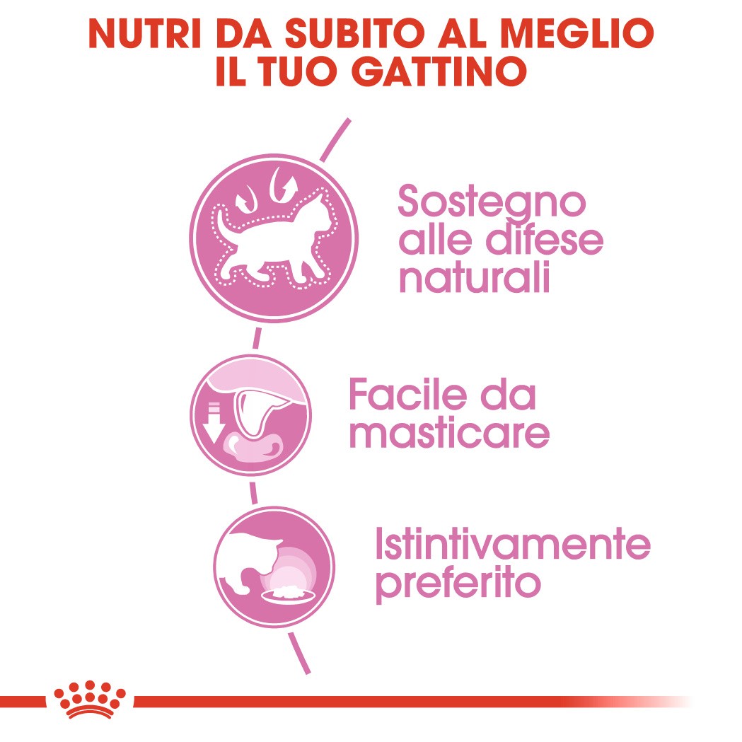 Royal Canin Kitten in salsa cibo umido per gattini (85 g)