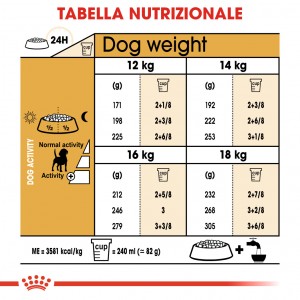 Royal Canin Adult Beagle cibo per cane