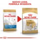 Royal Canin Adult Bichon Frisé cibo per cane