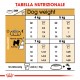 Royal Canin Adult Bichon Frisé cibo per cane