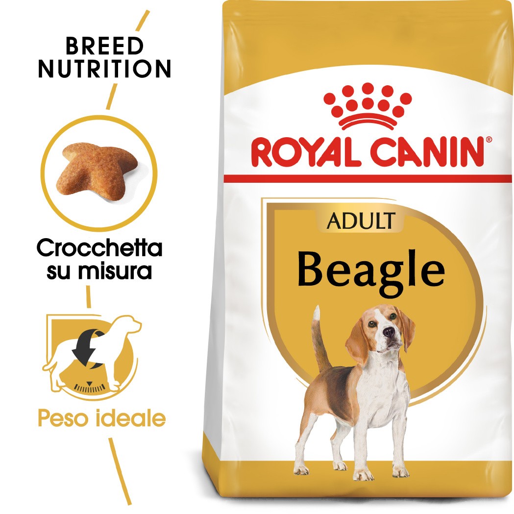 Royal Canin Adult Beagle cibo per cane