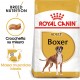 Royal Canin Adult Boxer cibo per cane