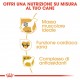 Royal Canin Adult Boxer cibo per cane