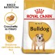 Royal Canin Adult Bulldog cibo per cane