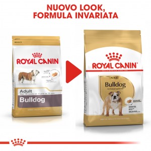 Royal Canin Adult Bulldog cibo per cane