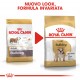Royal Canin Adult Bulldog cibo per cane