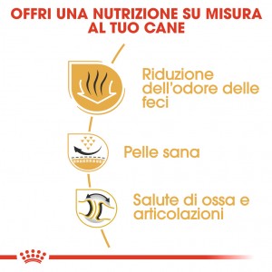 Royal Canin Adult Bulldog cibo per cane