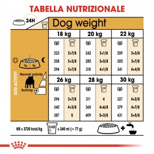 Royal Canin Adult Bulldog cibo per cane