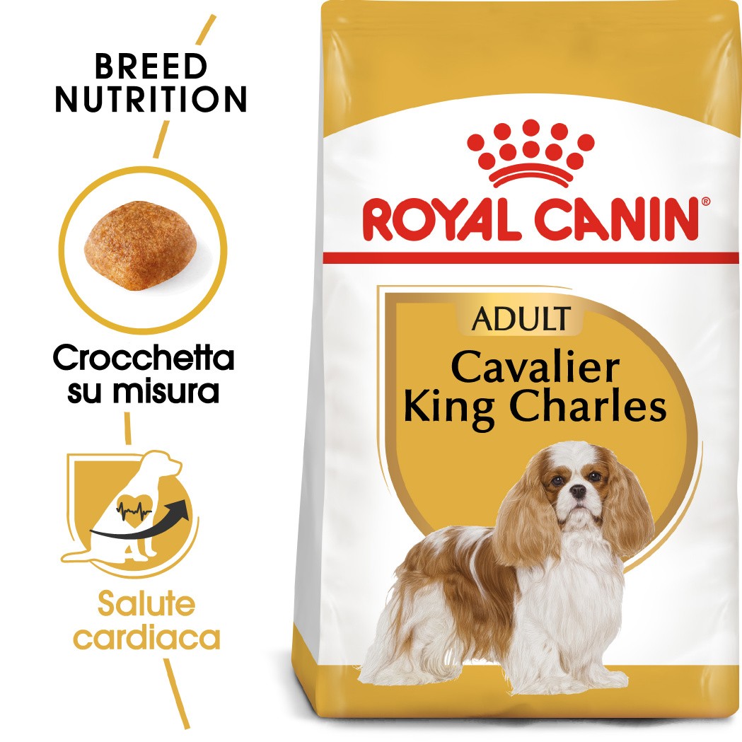 Royal Canin Adult Cavalier King Charles cibo per cane