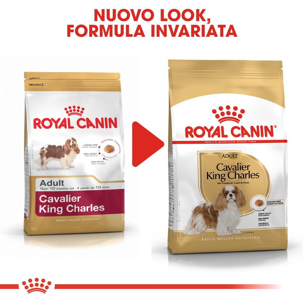 Royal Canin Adult Cavalier King Charles cibo per cane