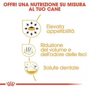 Royal Canin Adult Chihuahua cibo per cane
