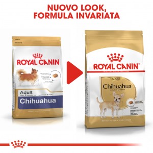 Royal Canin Adult Chihuahua cibo per cane