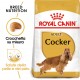Royal Canin Adult Cocker Spaniel cibo per cane