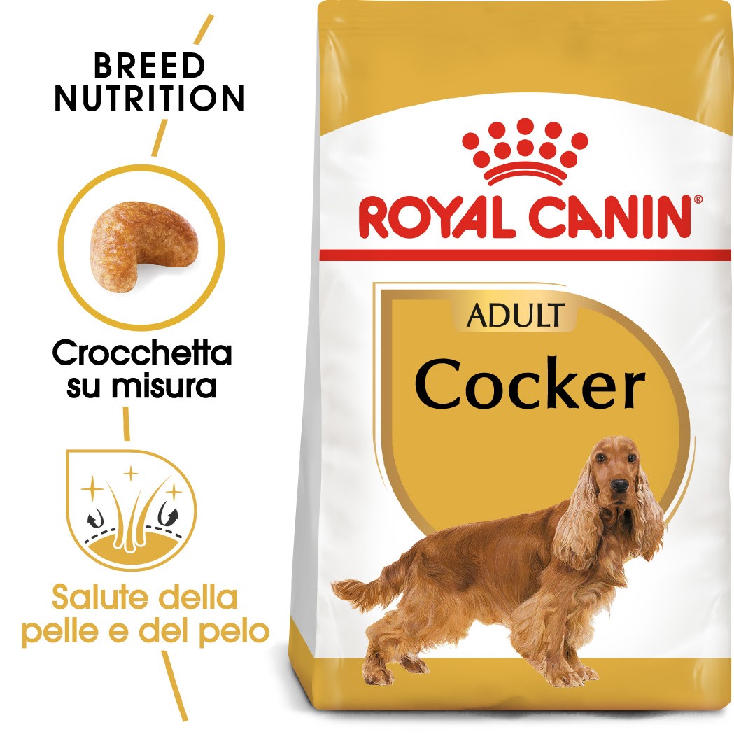 Royal Canin Adult Cocker Spaniel cibo per cane