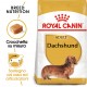 Royal Canin Adult Bassotto cibo per cane