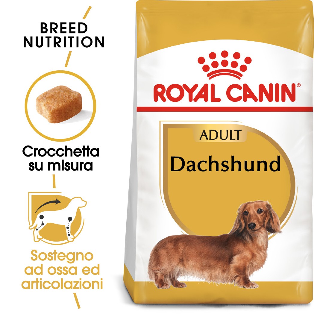 Royal Canin Adult Bassotto cibo per cane