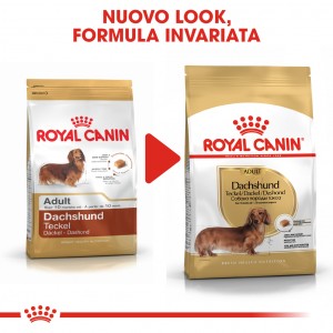 Royal Canin Adult Bassotto cibo per cane
