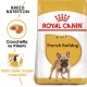 Royal Canin Adult Bulldog Francese cibo per cane