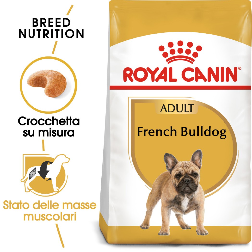 Royal Canin Adult Bulldog Francese cibo per cane