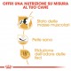 Royal Canin Adult Bulldog Francese cibo per cane