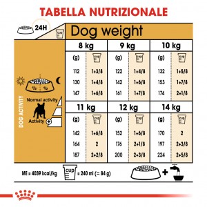 Royal Canin Adult Bulldog Francese cibo per cane