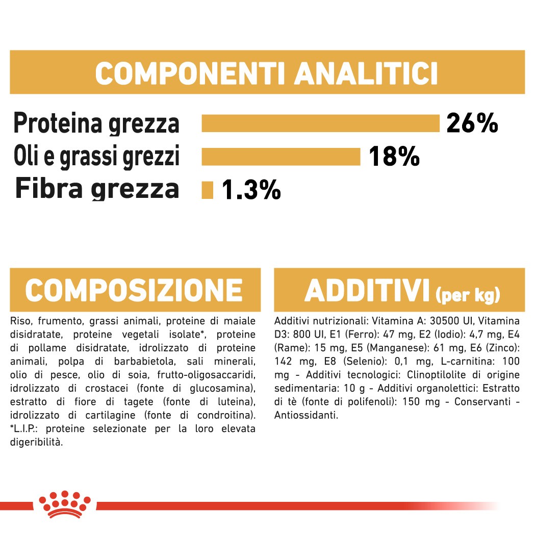 Royal Canin Adult Bulldog Francese cibo per cane