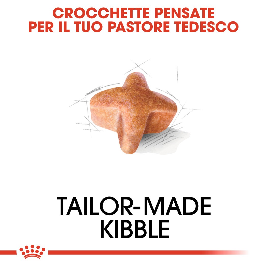 Royal Canin Adult Pastore Tedesco cibo per cane