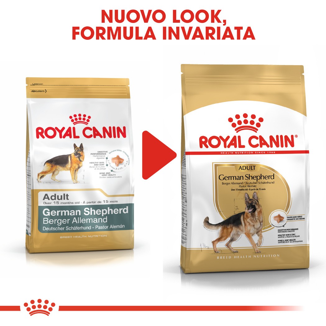 Royal Canin Adult Pastore Tedesco cibo per cane